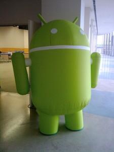 Android per Wii e Notebook?