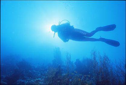 Praia Mare: Valerio Nunziata trovato morto in una grotta dell’Isola del Dino
