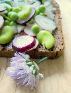 BRUSCHETTA DELL'ORTO SU PANE NERO