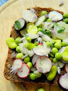 BRUSCHETTA DELL'ORTO SU PANE NERO