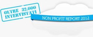 non profit report 2012