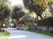 dove nacquero fiori cannoni.