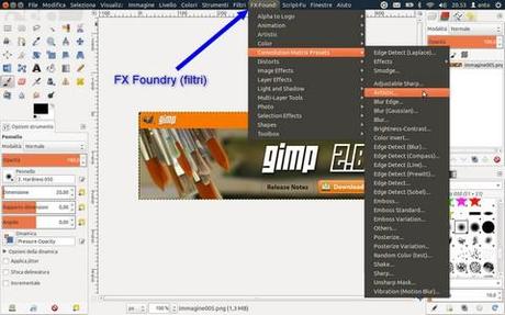 GIMP 2.8 PLUS per Ubuntu fig. 2