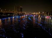 Tokyo Hotaru Festival: migliaia sfere luminose fiume Sumida