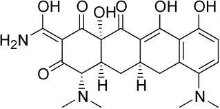 Sclerosi Multipla: l’antibiotico Minociclina potrebbe essere d’aiuto?