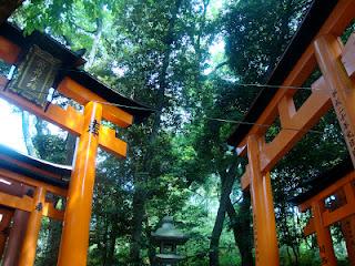 Immagini Giapponesi- gli infiniti torii del monte Inari