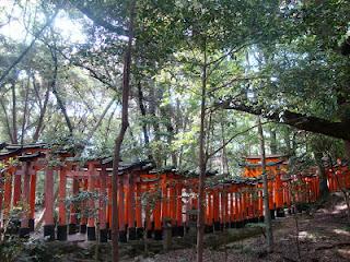 Immagini Giapponesi- gli infiniti torii del monte Inari