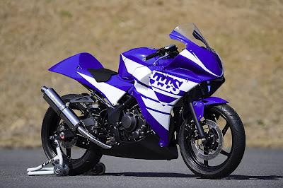 Honda CBR 250 R by Tsuruno Technical Service