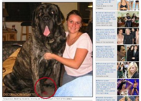 Incredibile gaffe del Dailymail: nella foto il cane ha l ...
