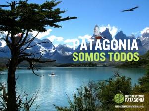Reforestemos Patagonia.