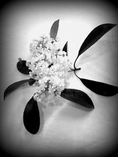 Acconciatura fai (quasi) da te per il giorno del sì!