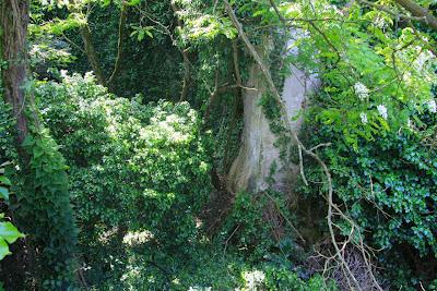 il forte Cavour dell'Isola Palmaria