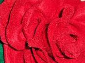 Rose primavera: rosse