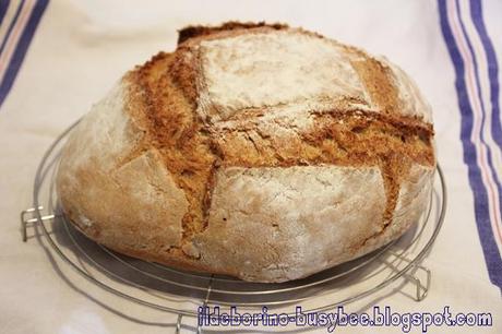 A Modo Mio - Pane con Pasta Acida Essiccata