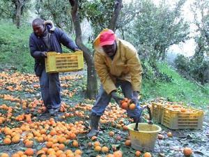 Tutti vogliono cacciare gli immigrati, ma non si può. Sono indispensabili per la nostra economia.