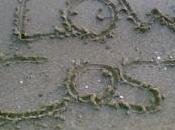 Vacanze estate 2012 solo andrà vacanza