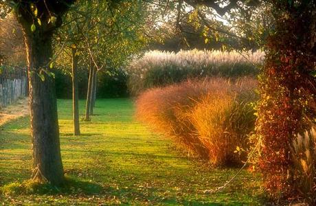 Jardin plume: the quintessence of sensual gardens.