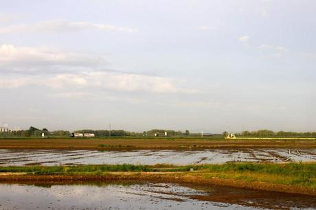 Paris - Vercelli : a direct train that crosses countrysides