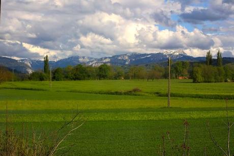 Paris - Vercelli : a direct train that crosses countrysides