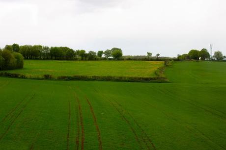 Paris - Vercelli : a direct train that crosses countrysides