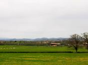 Paris Vercelli direct train that crosses countrysides