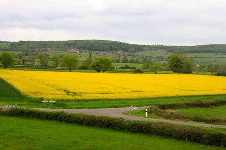 Paris - Vercelli : a direct train that crosses countrysides