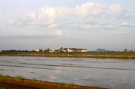 Paris - Vercelli : a direct train that crosses countrysides