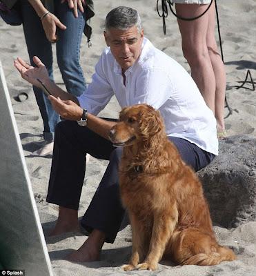 George Clooney a Malibu parla con il bubù