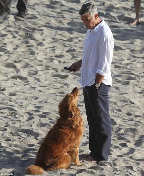 George Clooney a Malibu parla con il bubù