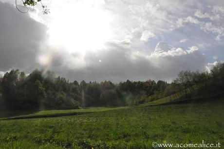 La parabola dei due vasi cinesi e il sole all’improvviso…