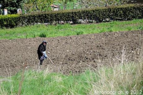 I sacrifici di Mario Monti