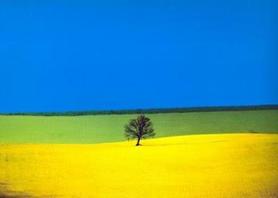 Franco Fontana