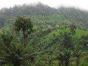 L'ultimo imperatore...