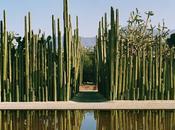 Ethno-Botanical Garden, Oaxaca