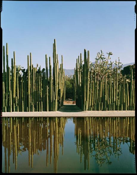 The Ethno-Botanical Garden, Oaxaca