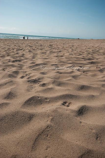 Oleandri resort a Paestum