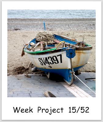 WEEK PROJECT 52