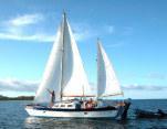 Fiji International Jazz and Blues Festival 2012 - i video e i pareri Valentino Sailing Safari