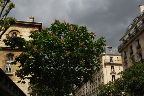 18.05.2012  L'AIR DE PARIS