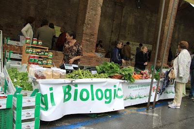 orti scolastici al Mercatale di San Miniato