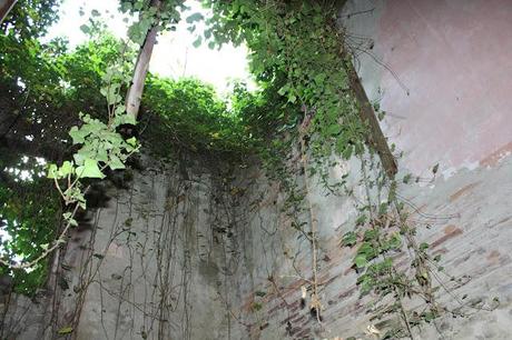 Una giornata con gli amici in mezzo alla natura e la zuppa color del sole