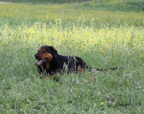 Una giornata con gli amici in mezzo alla natura e la zuppa color del sole