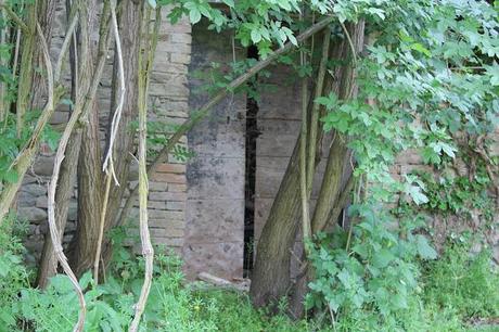 Una giornata con gli amici in mezzo alla natura e la zuppa color del sole