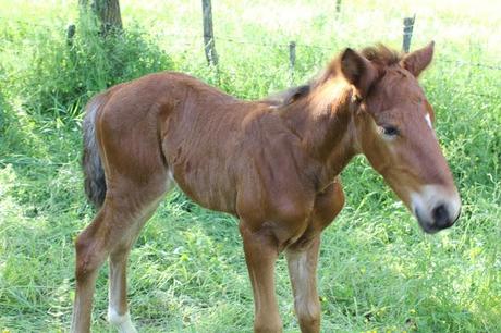 Una giornata con gli amici in mezzo alla natura e la zuppa color del sole
