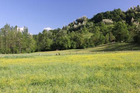Una giornata con gli amici in mezzo alla natura e la zuppa color del sole