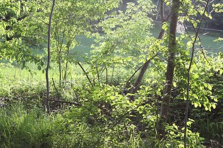 Una giornata con gli amici in mezzo alla natura e la zuppa color del sole