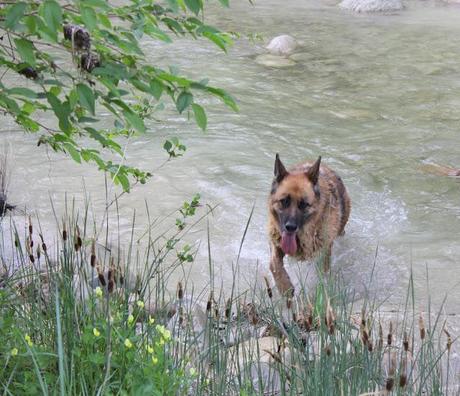 Una giornata con gli amici in mezzo alla natura e la zuppa color del sole