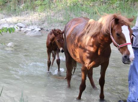 Una giornata con gli amici in mezzo alla natura e la zuppa color del sole