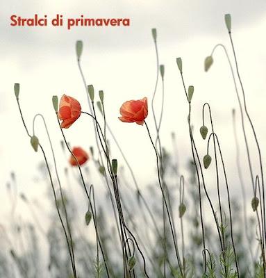 STRALCI DI PRIMAVERA