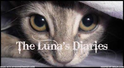 The Luna's Diaries: PANIC